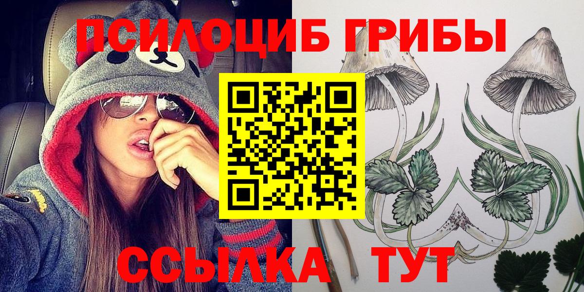 Галлюциногенные грибы Psilocybe  Вход с VPN  Волжск 